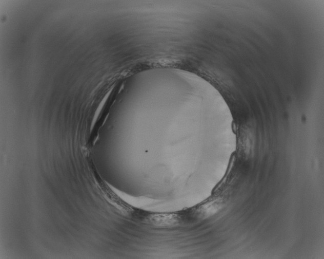 X0000062620526200601111037