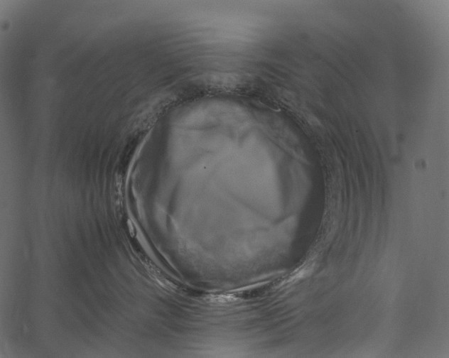 X0000062620528200601111037