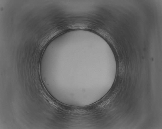 X0000062620529200601111036