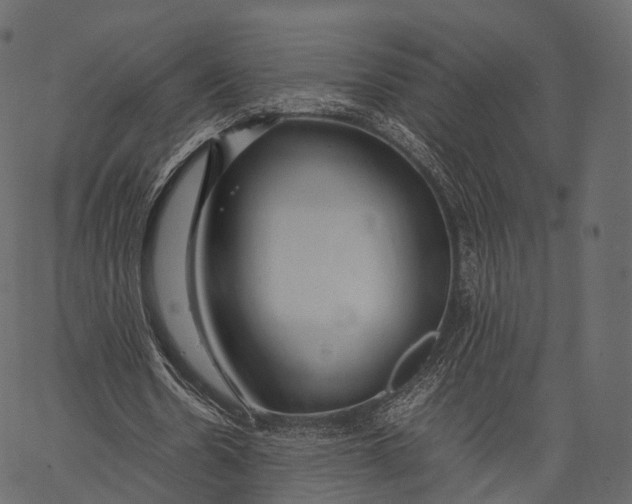 X0000062620530200601111036