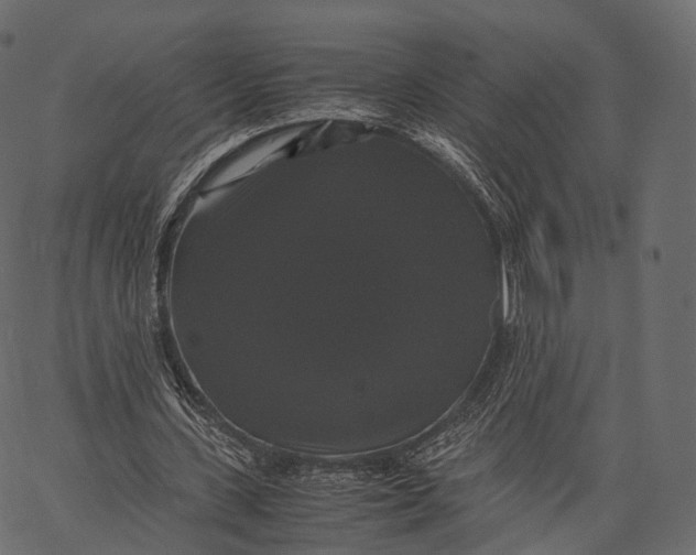 X0000062620531200601111036