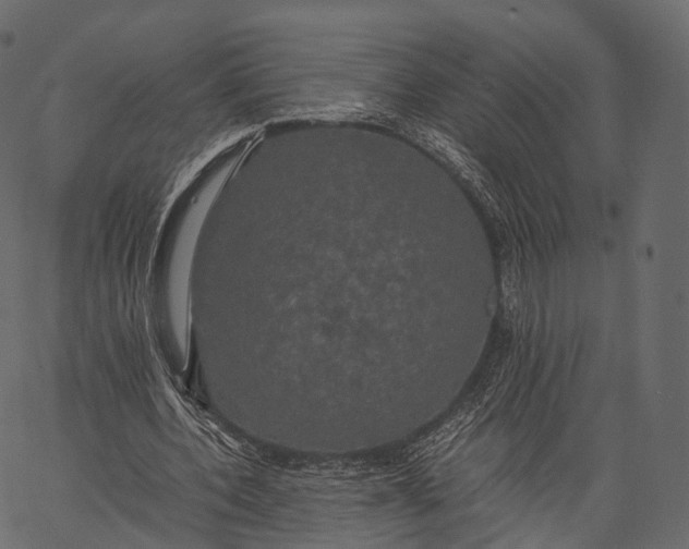 X0000062620532200601111036