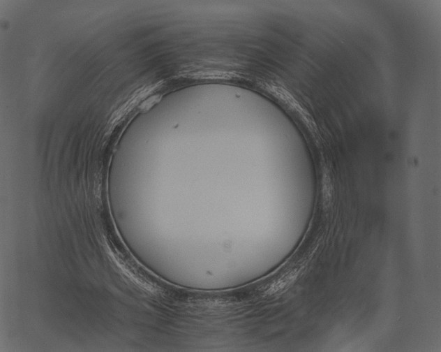 X0000062620533200601111036