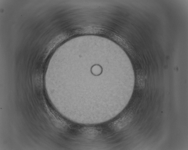 X0000062620534200601111036