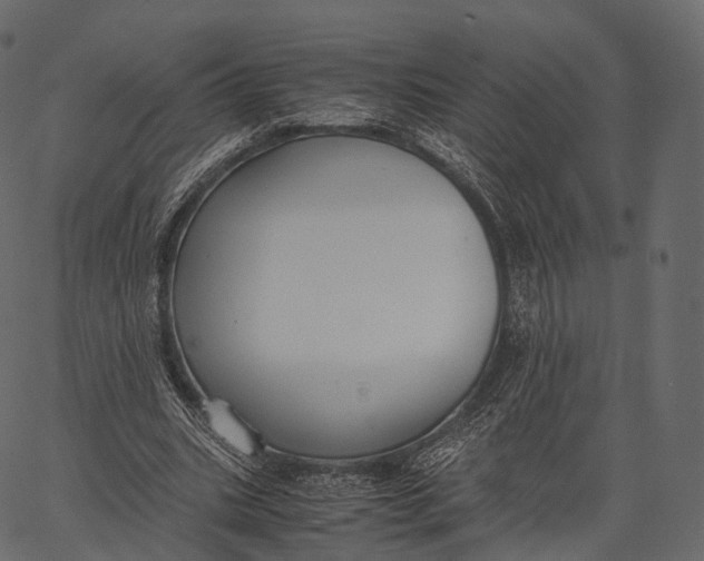 X0000062620535200601111037