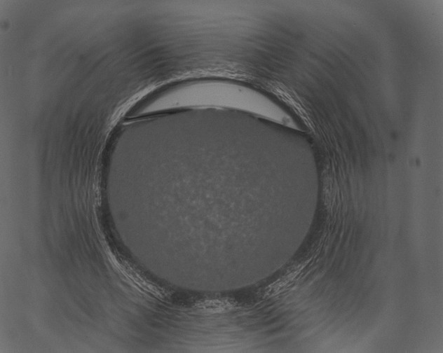 X0000062620536200601111037