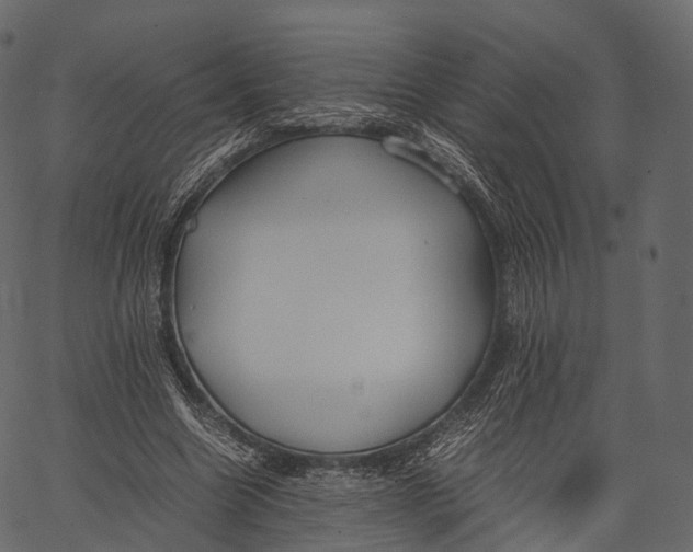 X0000062620538200601111037