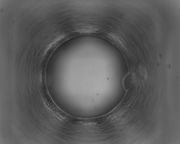 X0000062620539200601111037