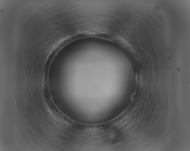 X0000062620540200601111037