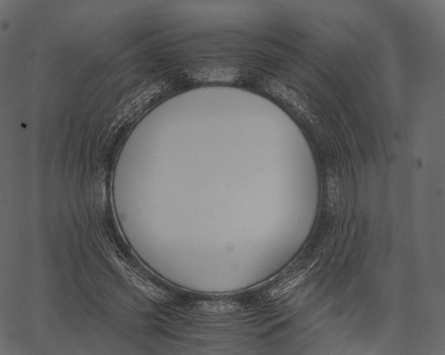 X0000062620541200601111037