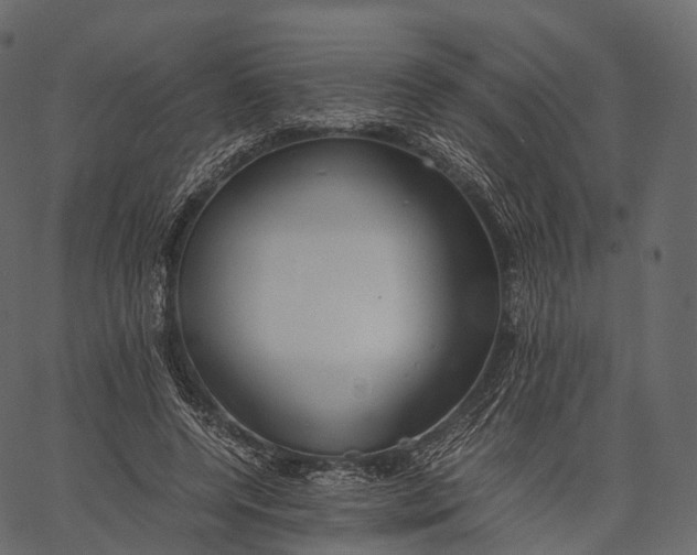 X0000062620544200601111037