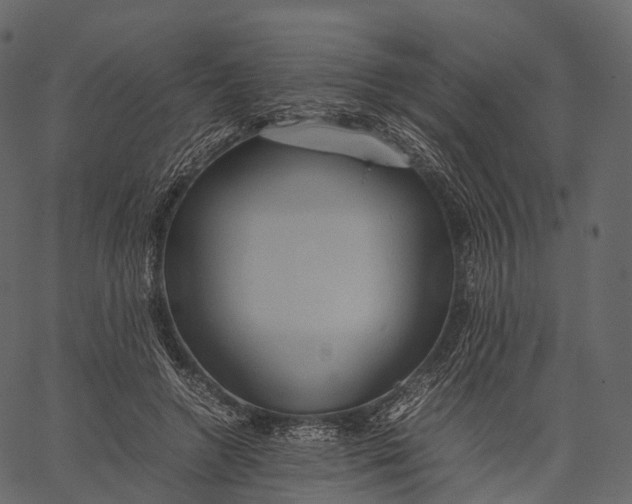 X0000062620546200601111037