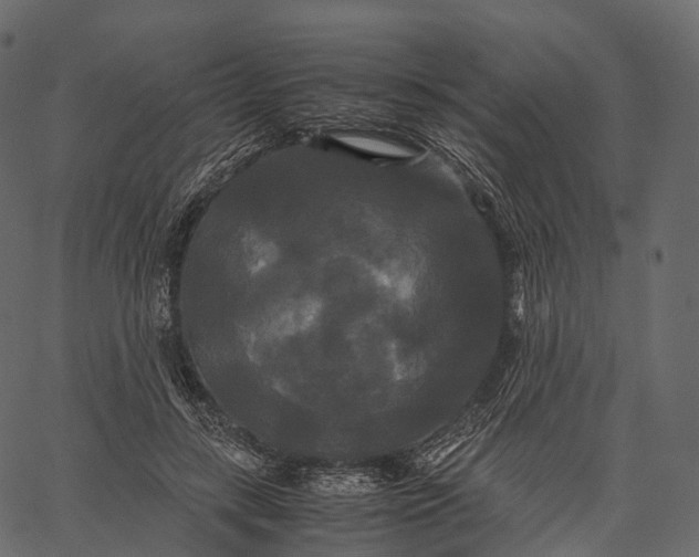 X0000062620547200601111037