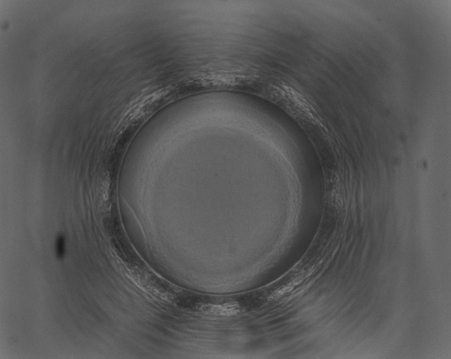 X0000062620548200601111037