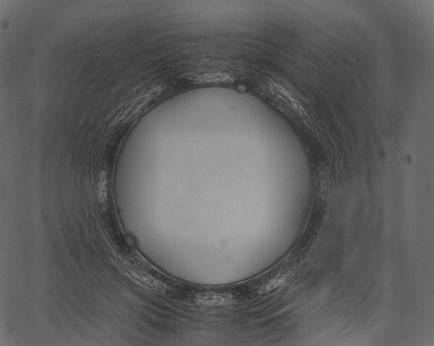 X0000062620549200601111037