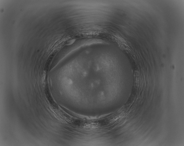 X0000062620550200601111037