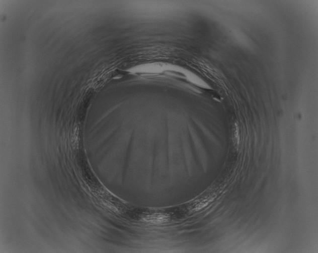 X0000062620551200601111037