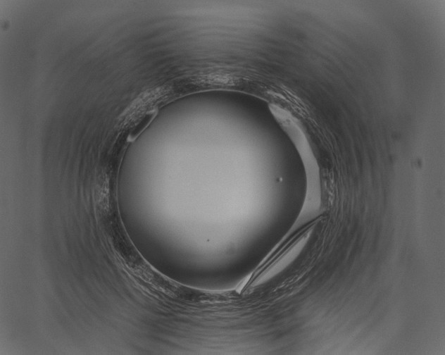 X0000062620552200601111037