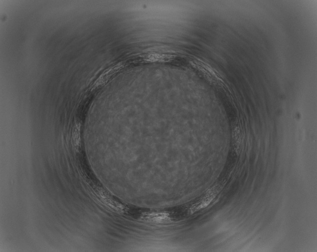 X0000062620554200601111037