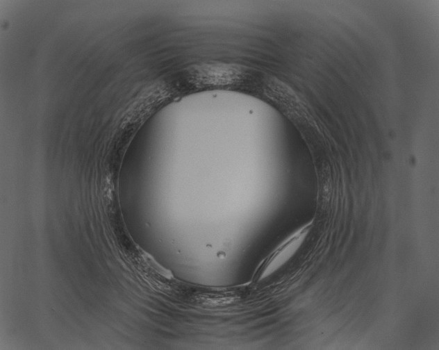 X0000062620555200601111037