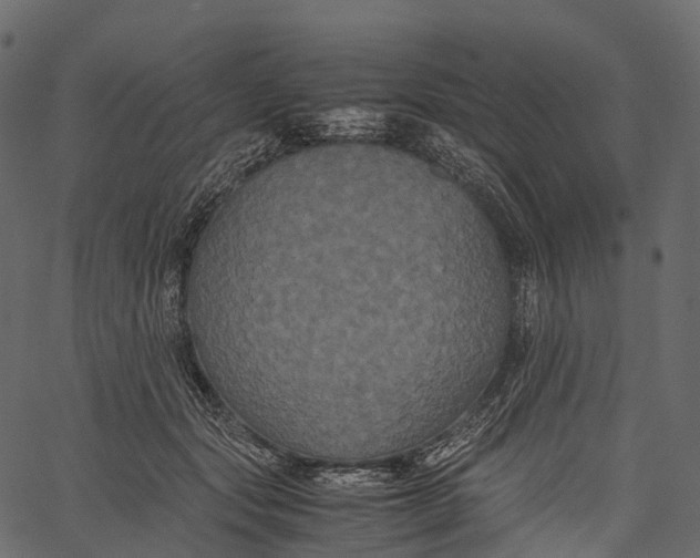 X0000062620557200601111037