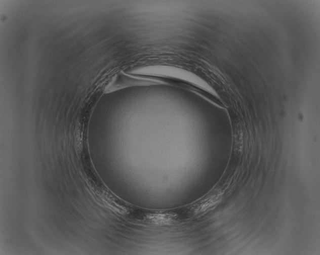 X0000062620558200601111037