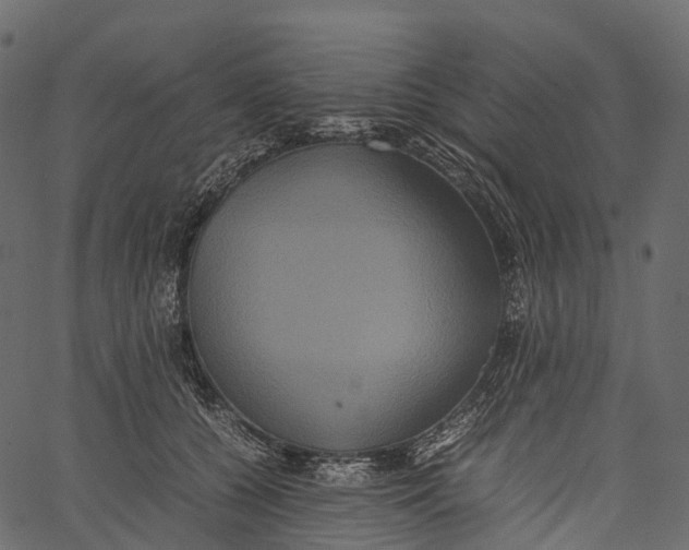 X0000062620560200601111037