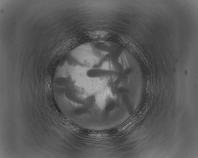 X0000062620561200601111037