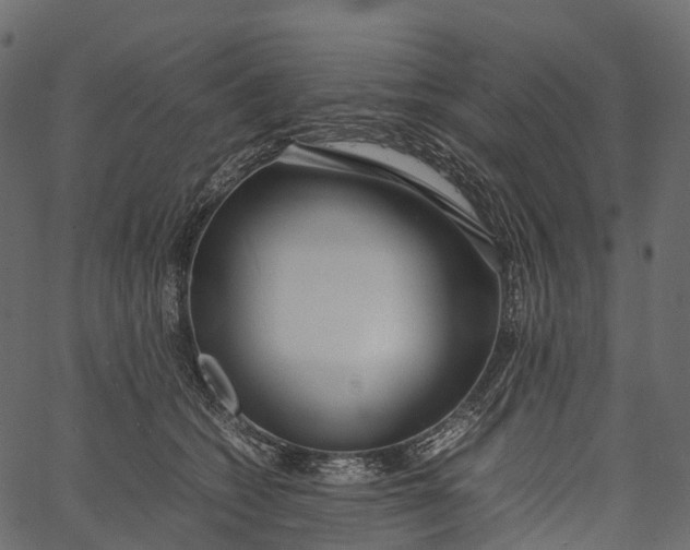 X0000062620562200601111037