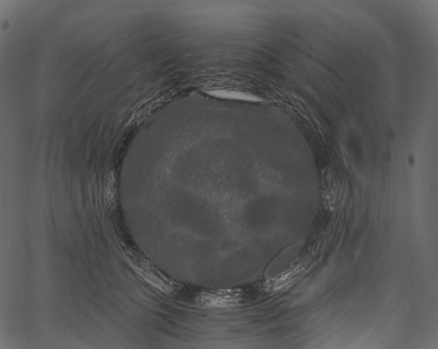 X0000062620563200601111037