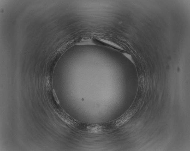 X0000062620564200601111037