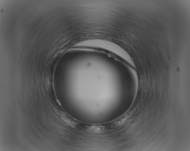 X0000062620566200601111037