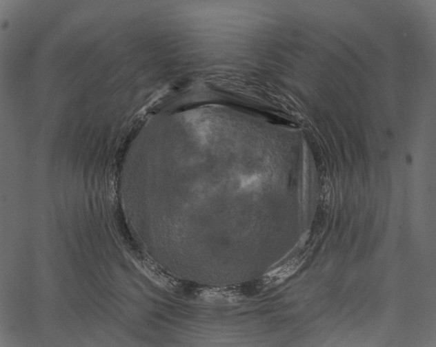 X0000062620568200601111037