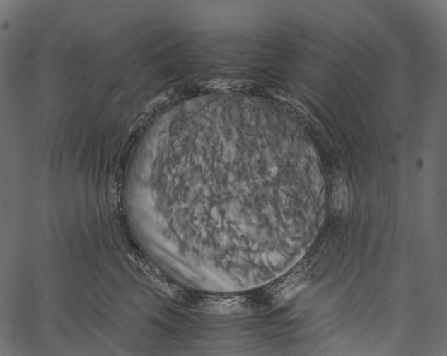 X0000062620569200601111037