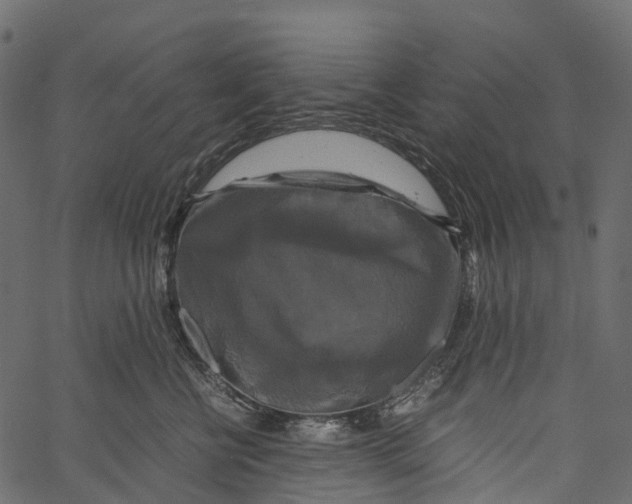 X0000062620570200601111037