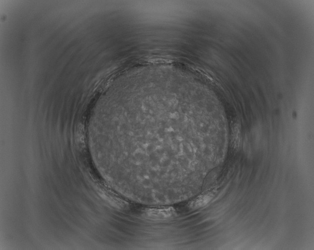 X0000062620571200601111037