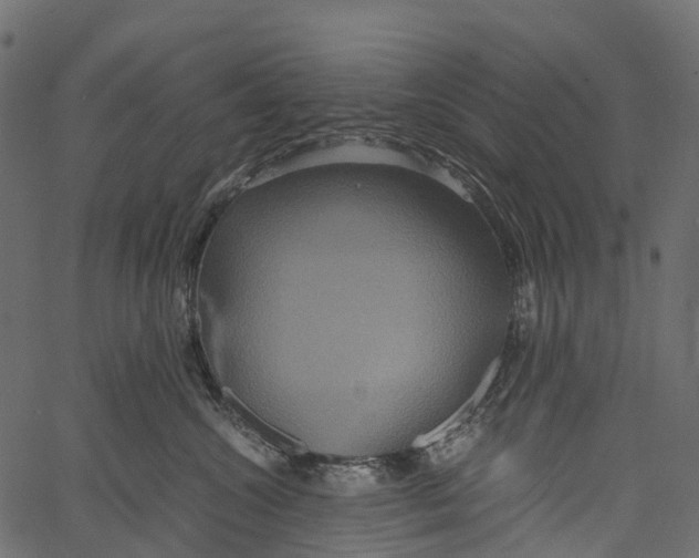 X0000062620572200601111037