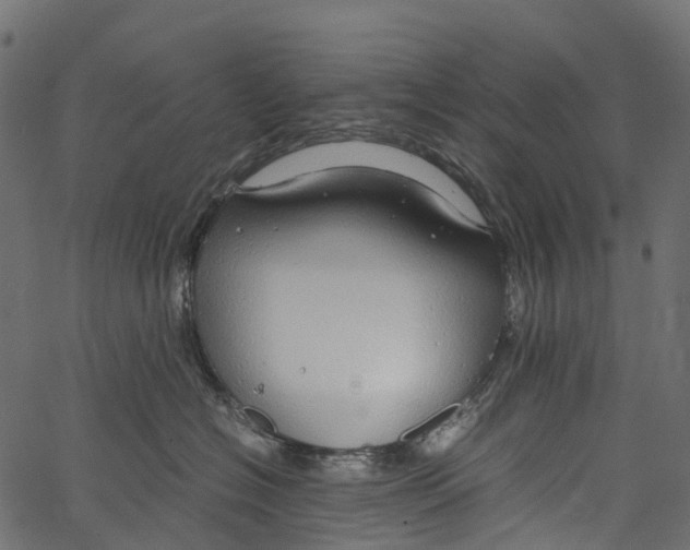 X0000062620574200601111037