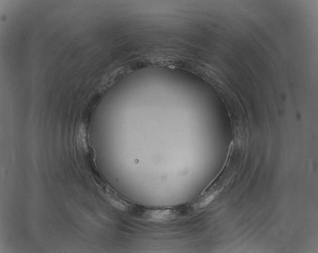 X0000062620575200601111037