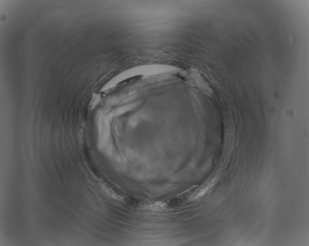 X0000062620576200601111037