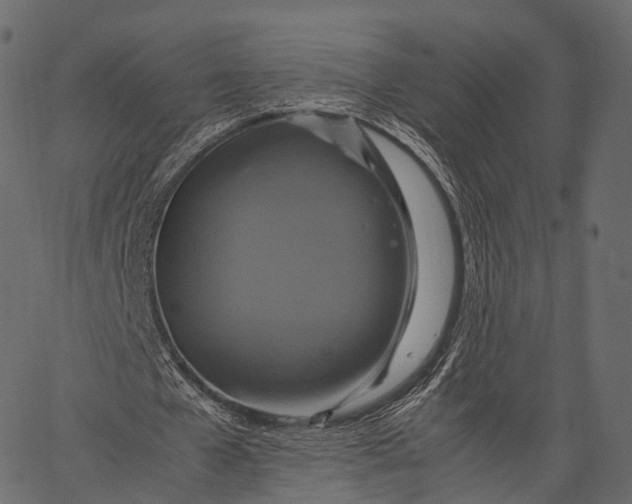 X0000062620577200601111036