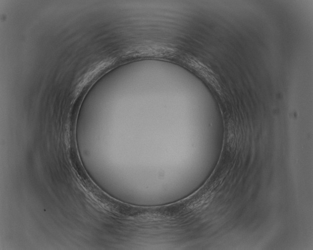 X0000062620578200601111036