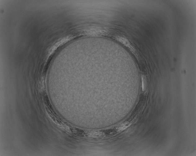 X0000062620579200601111036