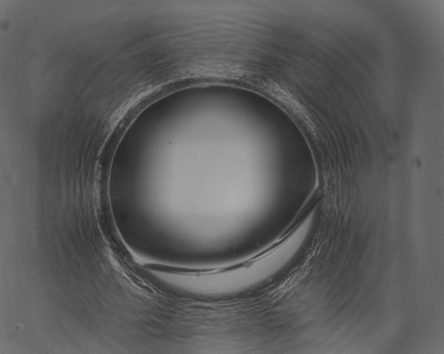 X0000062620580200601111036