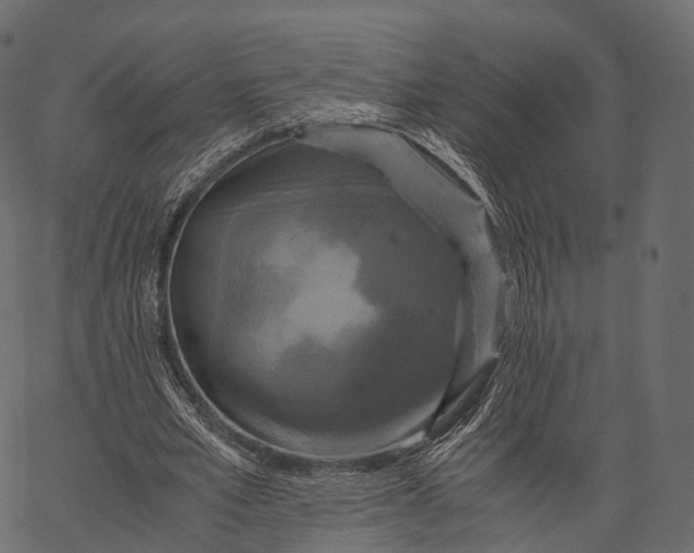 X0000062620581200601111036