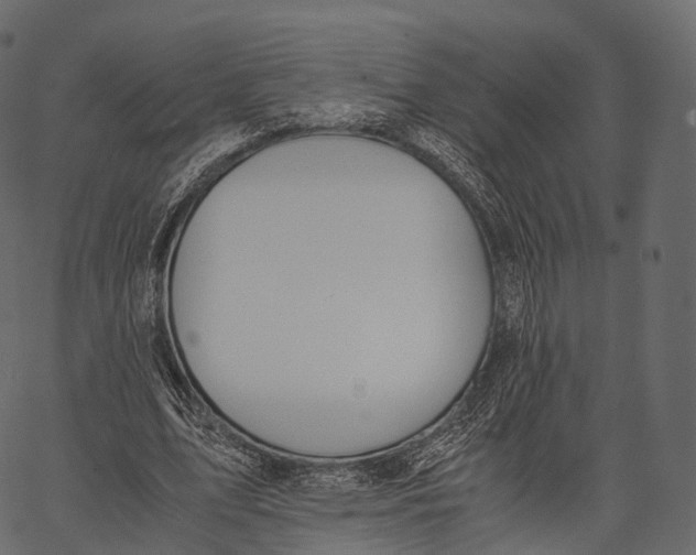 X0000062620583200601111036