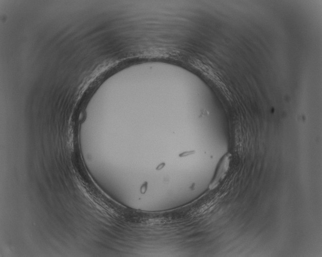 X0000062620584200601111036