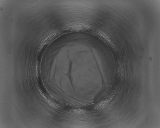 X0000062620590200601111036