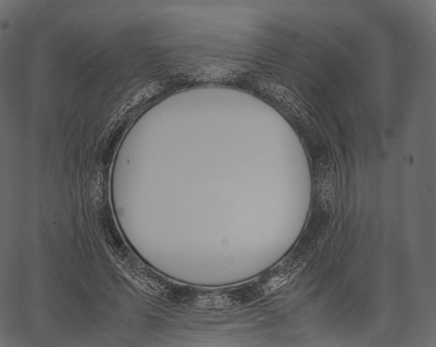 X0000062620591200601111036