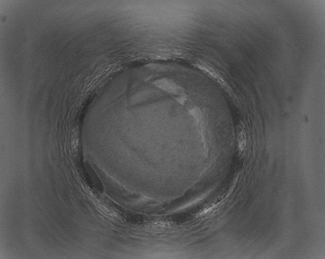 X0000062620593200601111036